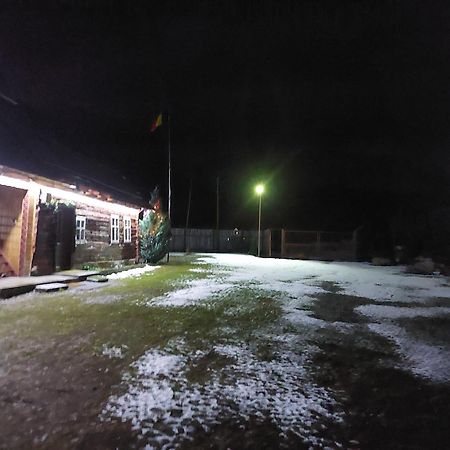 Cabana Casa Lu'Baciu Arpaşu de Sus Exterior foto