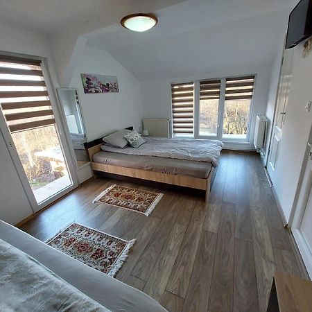 Cabana Casa Lu'Baciu Arpaşu de Sus Exterior foto