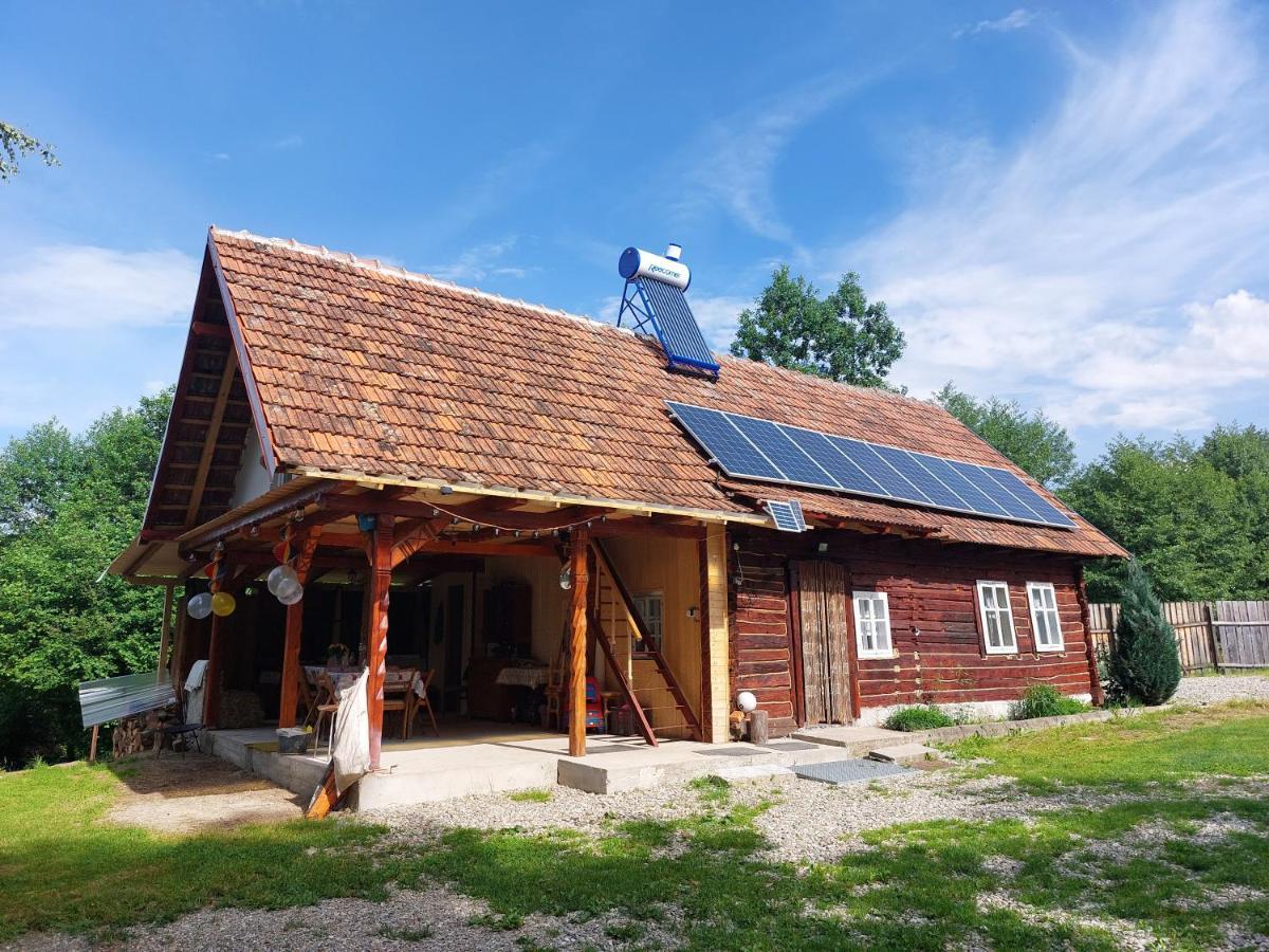 Cabana Casa Lu'Baciu Arpaşu de Sus Exterior foto
