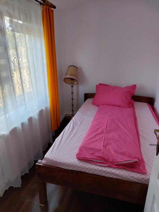Cabana Casa Lu'Baciu Arpaşu de Sus Exterior foto