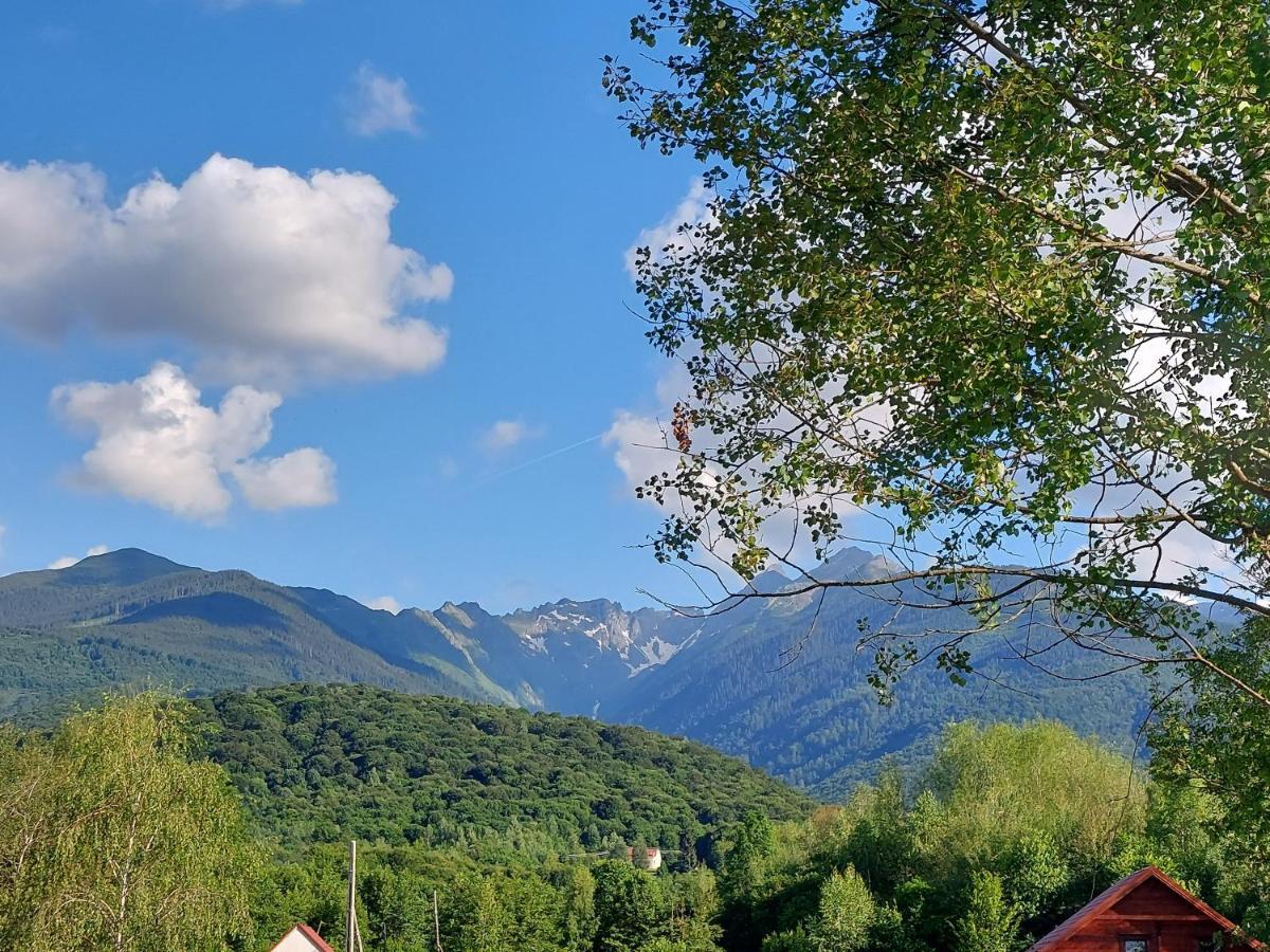 Cabana Casa Lu'Baciu Arpaşu de Sus Exterior foto