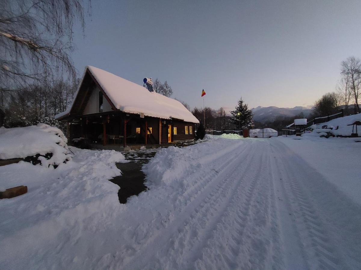Cabana Casa Lu'Baciu Arpaşu de Sus Exterior foto