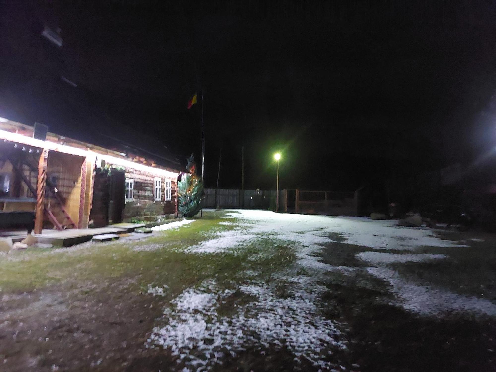 Cabana Casa Lu'Baciu Arpaşu de Sus Exterior foto