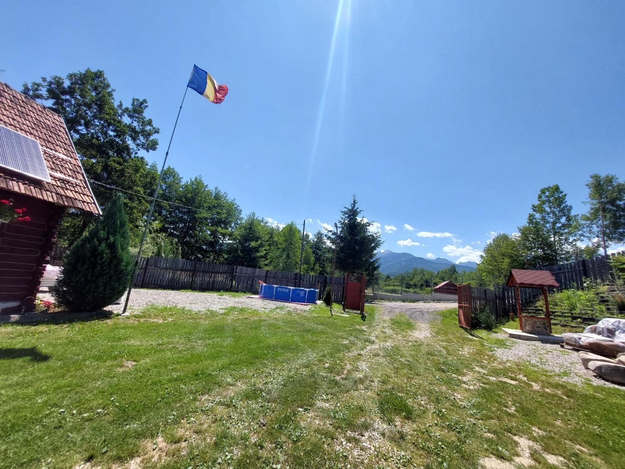 Cabana Casa Lu'Baciu Arpaşu de Sus Exterior foto